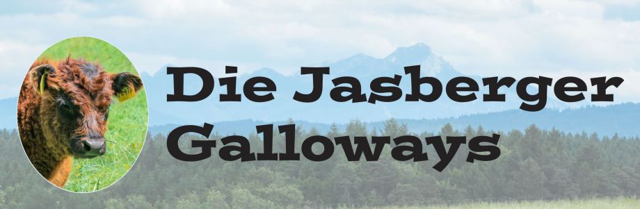 Die Jasberger Galloways